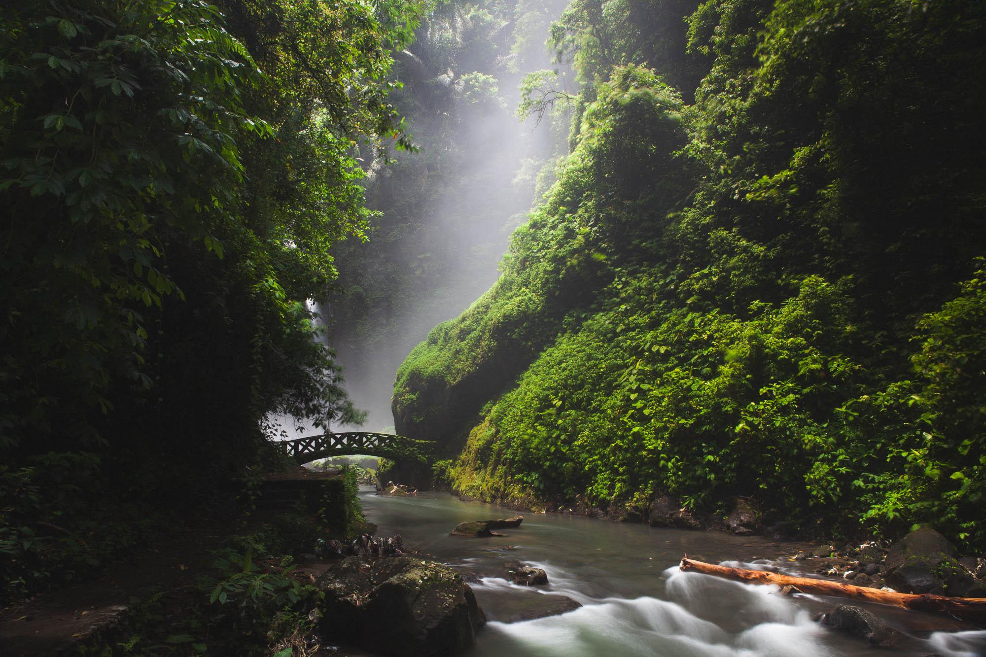 Sademetsämaisen kasvillisuuden täyttämä kanjoni, jonka pohjalla virtaa joki. Joen yli kulkee silta. Taustalla näkyy vesihöyryä, joka tulee sivummalla olevasta vesiputouksesta.