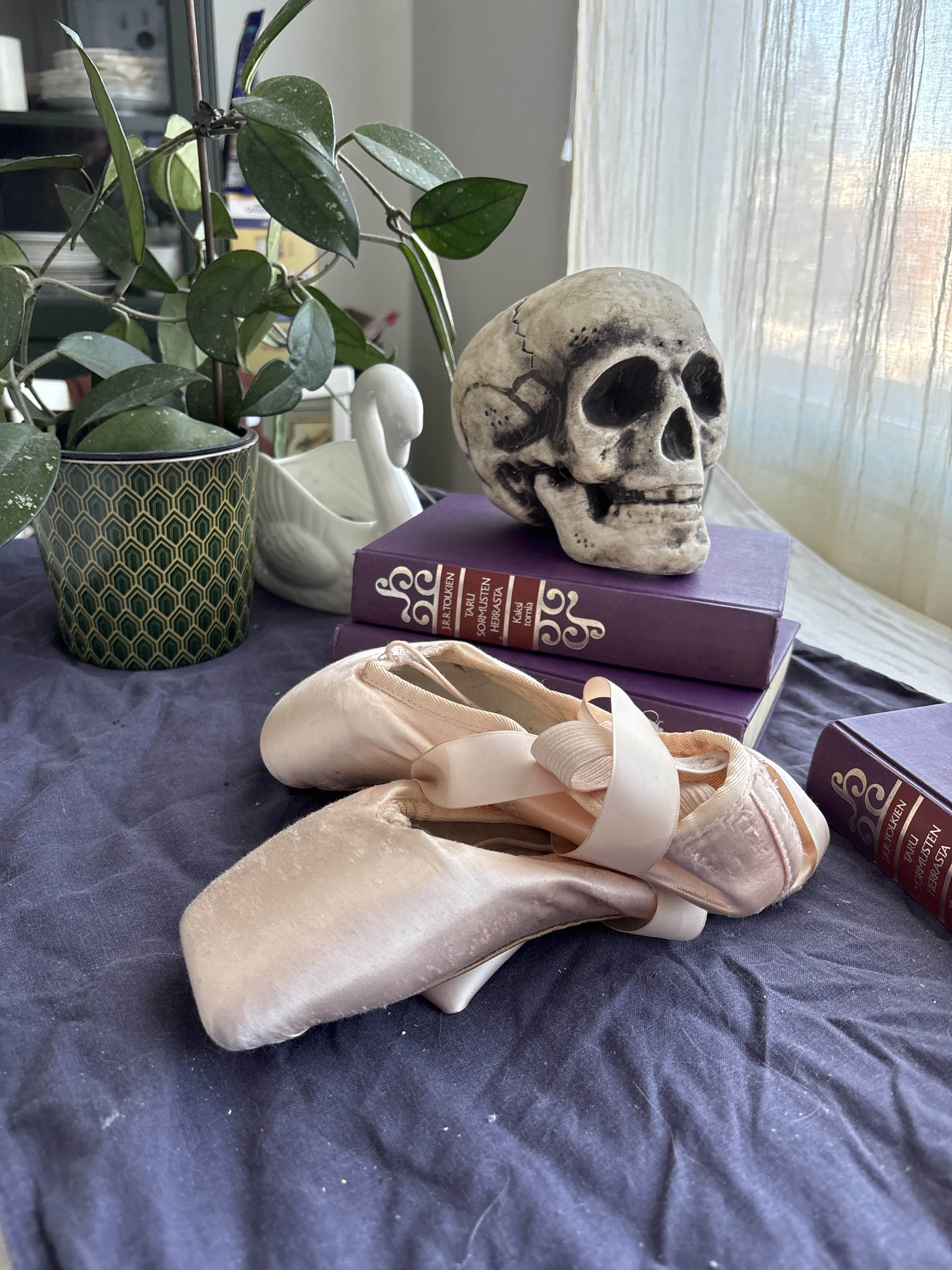 A photographed still life reference, featuring a plant, a porcelain swan, ballet shoes, books and a plastic styrofoam likeness of a human skull