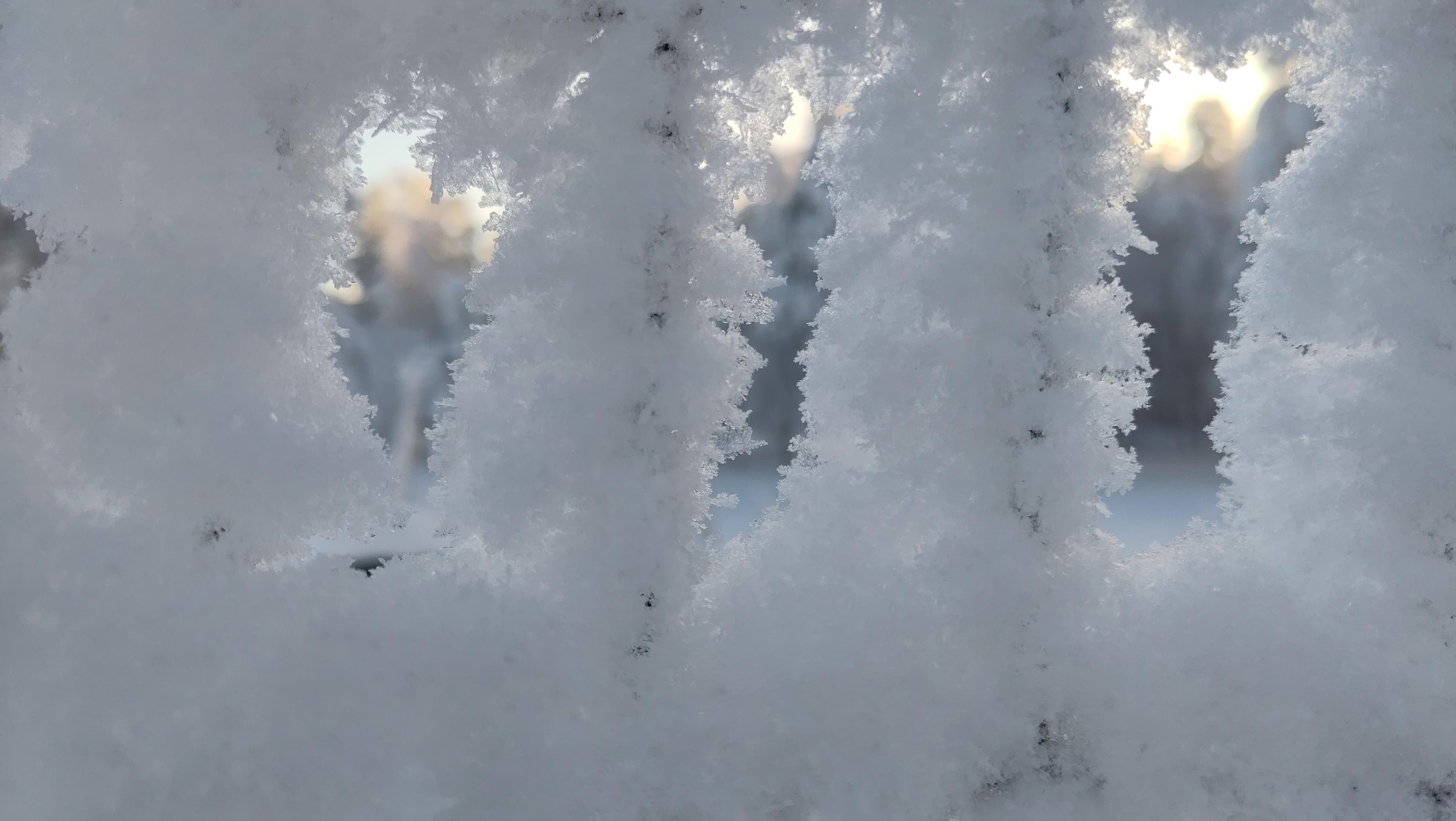 Kuinka  kuvailla kun verkkoaita on niin luminen, ettei siitä näe juuri läpi?