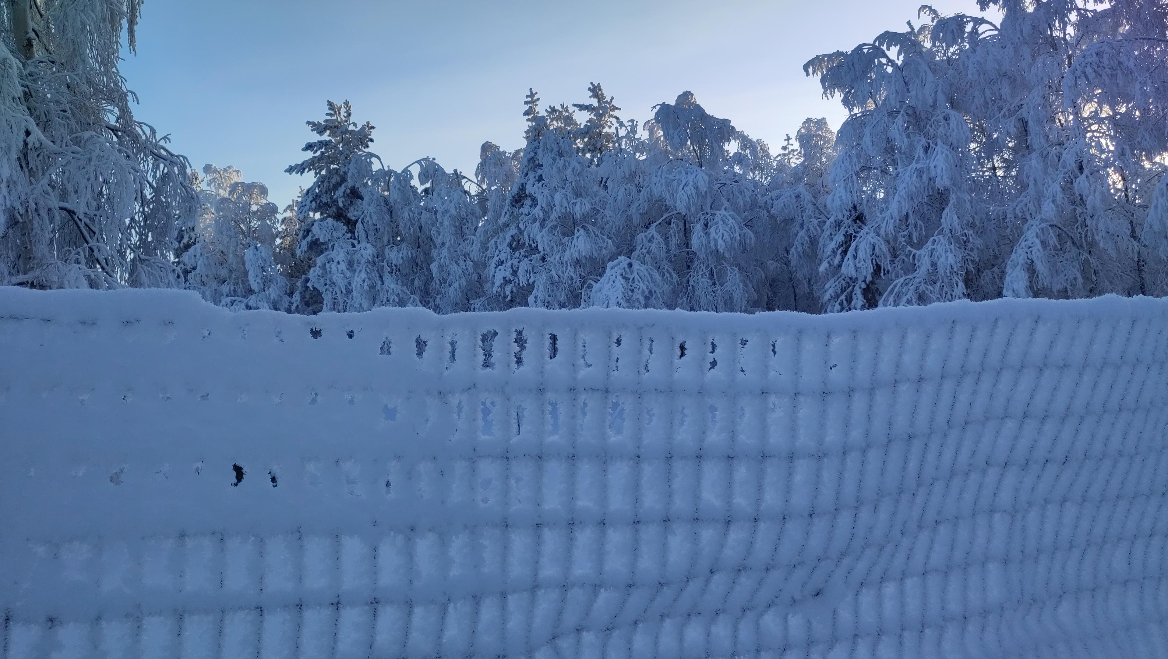 Lisää lunta ja pakkasta