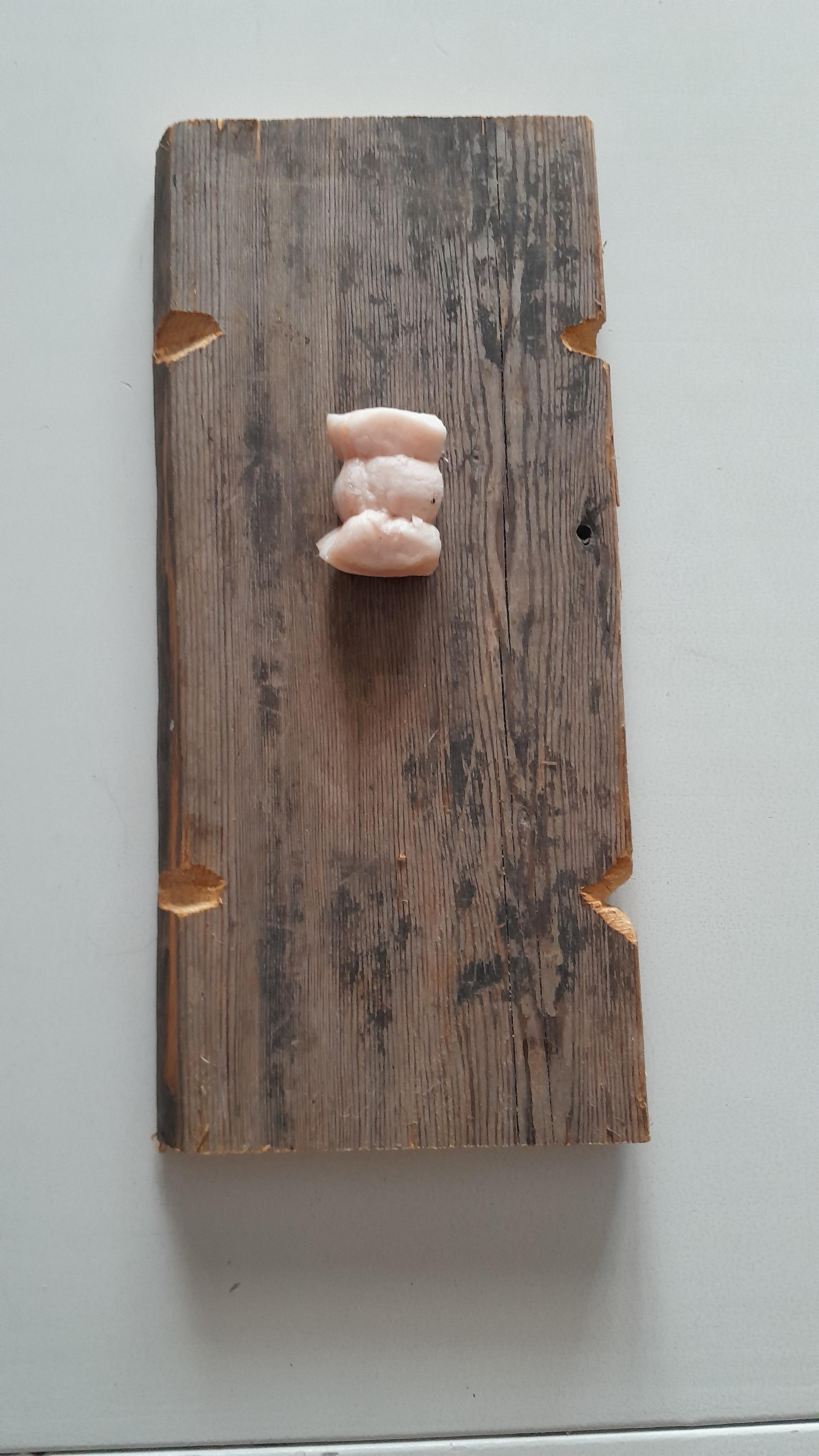 Silavan pala on kiristetty rautalangoilla lautaan kiinni.