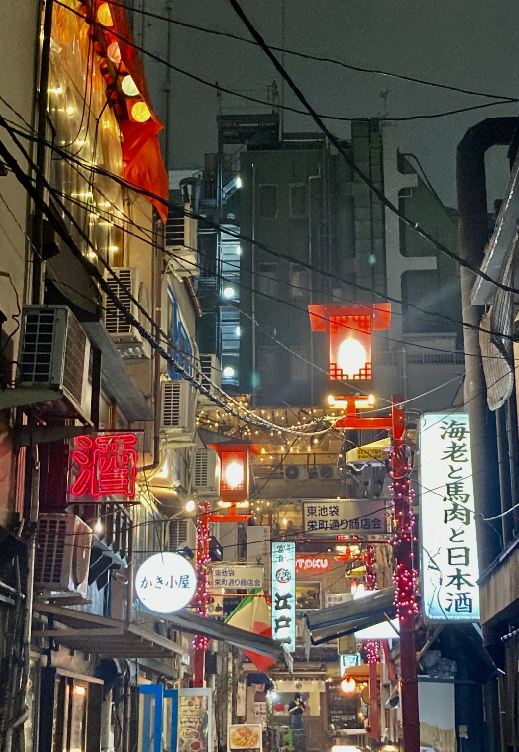 Kapea, valokylttien reunustama kuja Tokion Ikebukurossa.