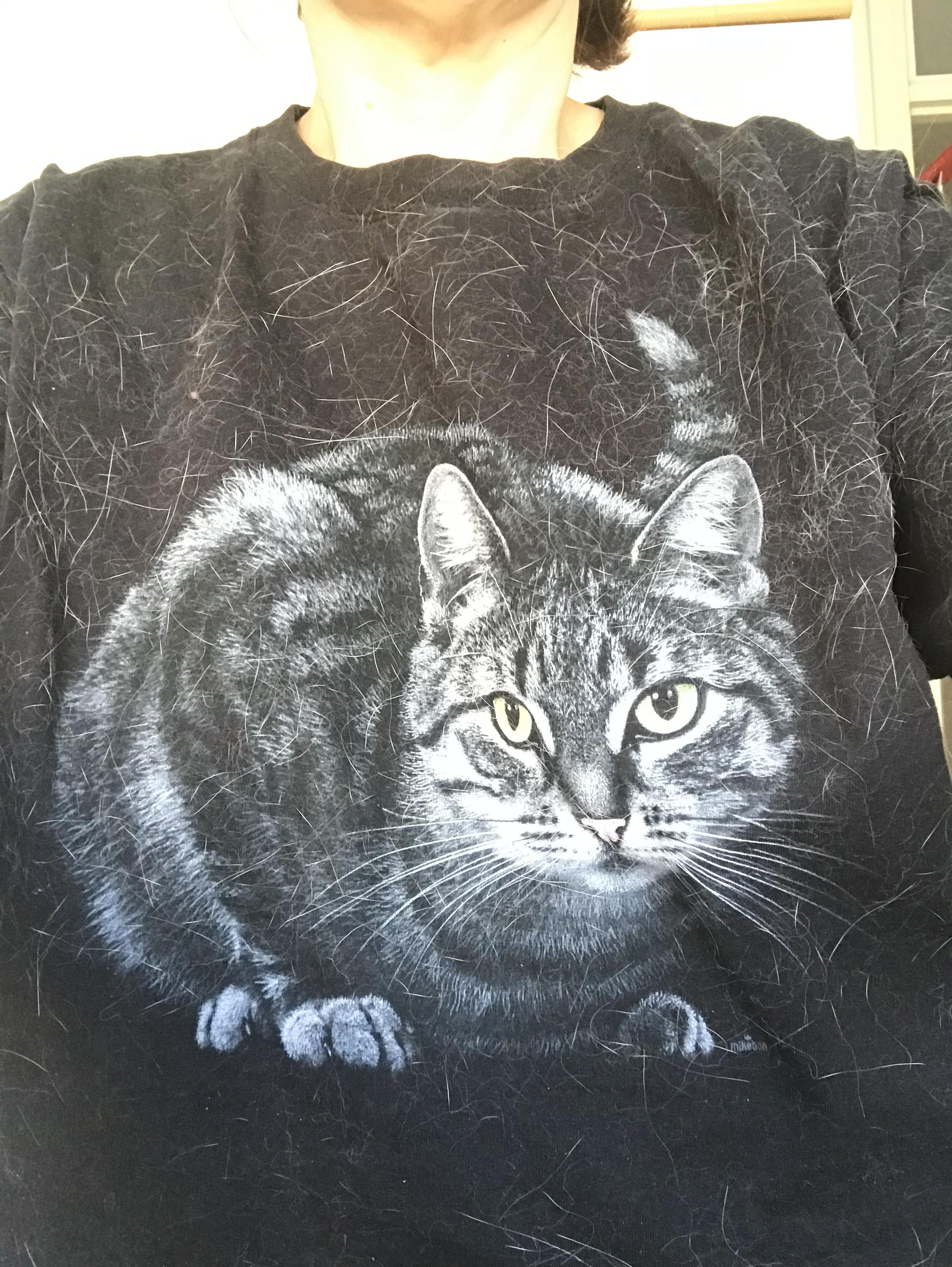 Musta t-paita kissakuvalla, kankaassa paaaljon valkoisia kissankarvoja.