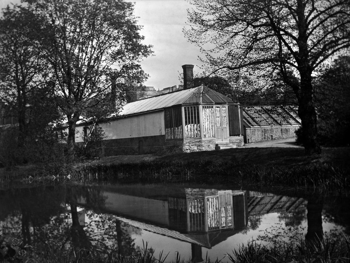 Bulevardi 38-40. (tuntematon vuosi, Helsingin kaupunginmuseo)

Alkuperäinen mustavalkoinen valokuva, jonka on ottanut Ivan Timiriasew.