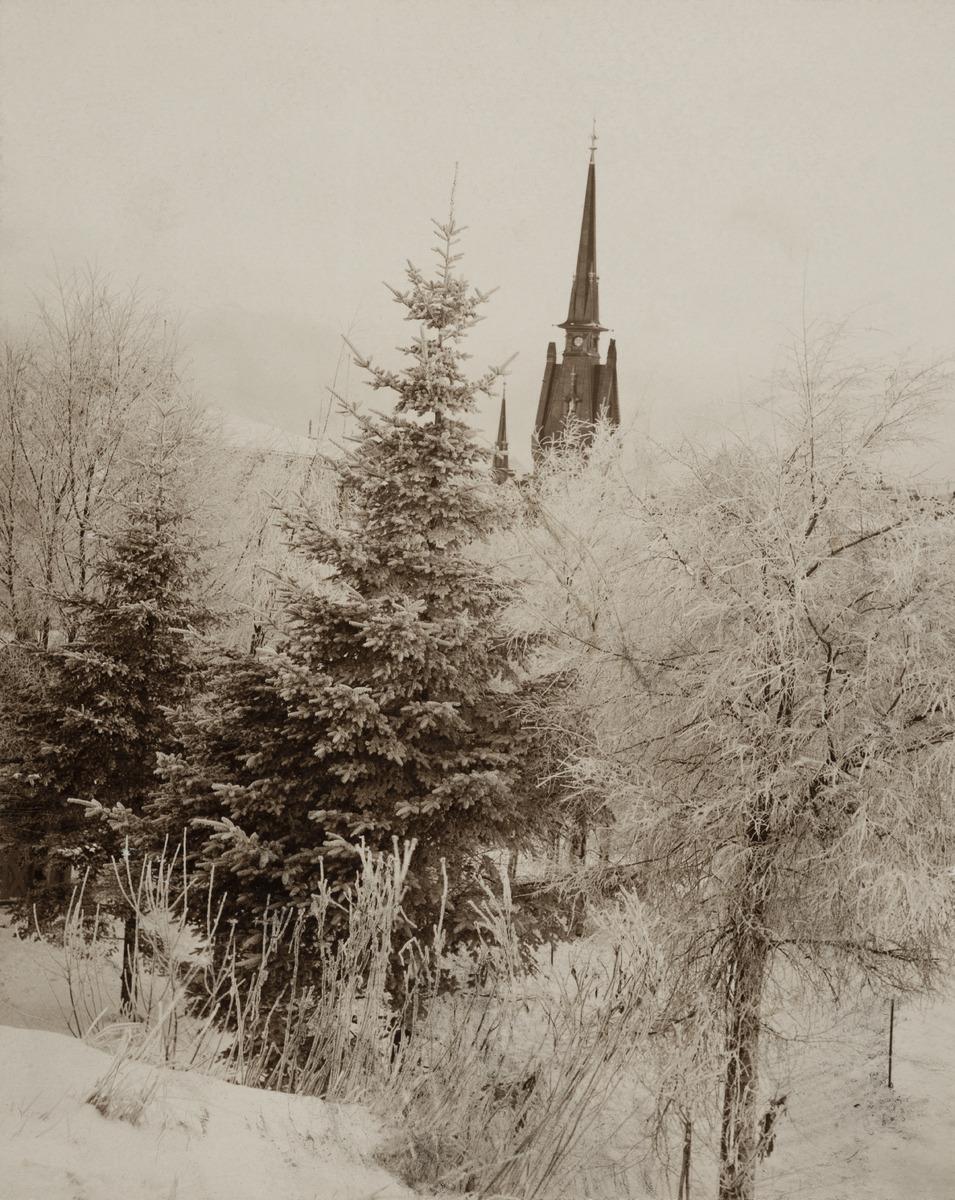 Talvinen näkymä Tähtitornin vuorelta. (1910, Helsingin kaupunginmuseo)

Alkuperäinen mustavalkoinen valokuva, jonka on ottanut Ivan Timiriasew.