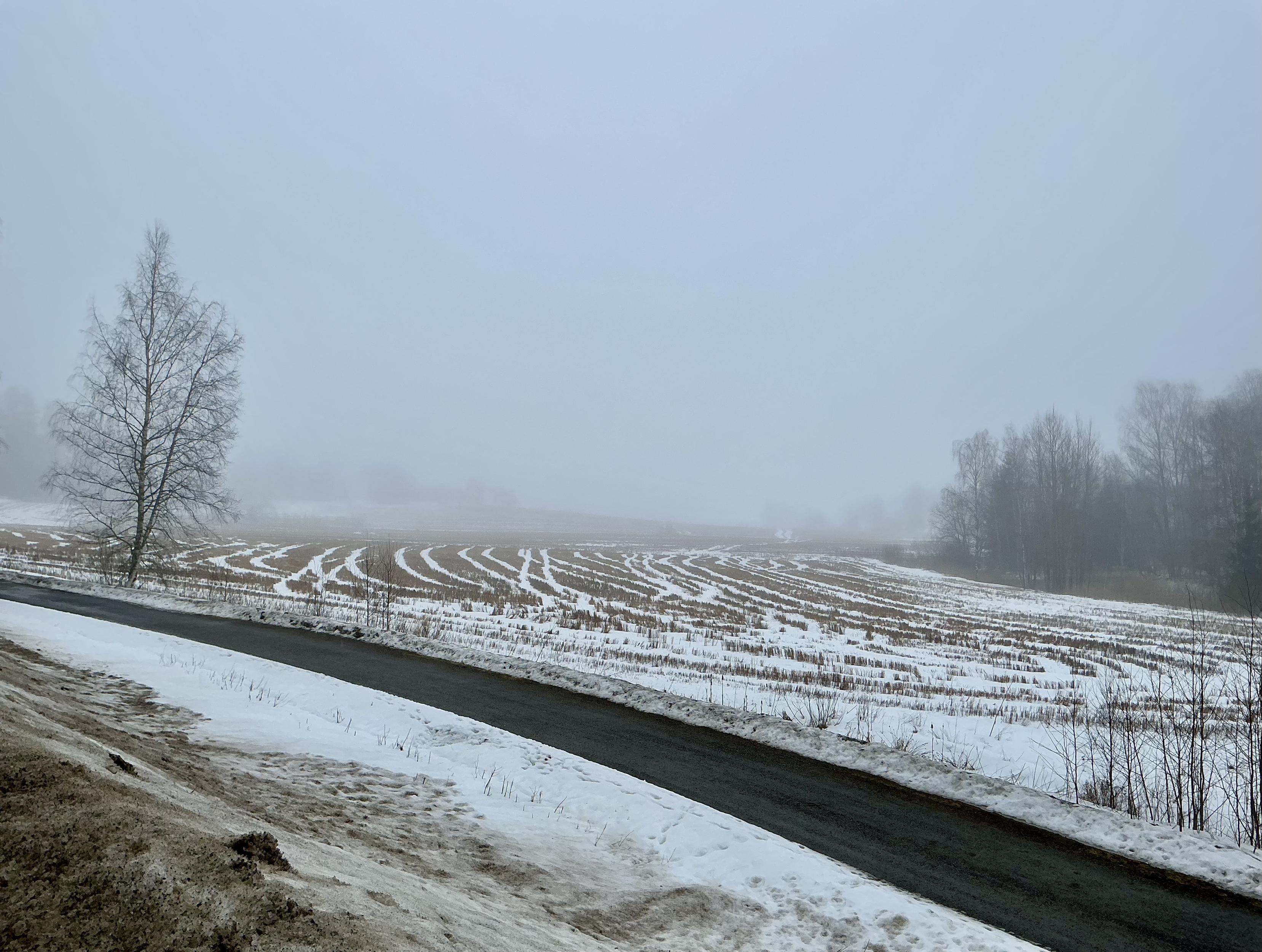 Harmaa ja sumuinen peltomaisema, jossa lumen läpi paistaa ruskeita olkia. Etualalla loskainen, likaisenruskea tienpenkka. Silti jotenkin vaikuttava näkymä sumun keskellä.