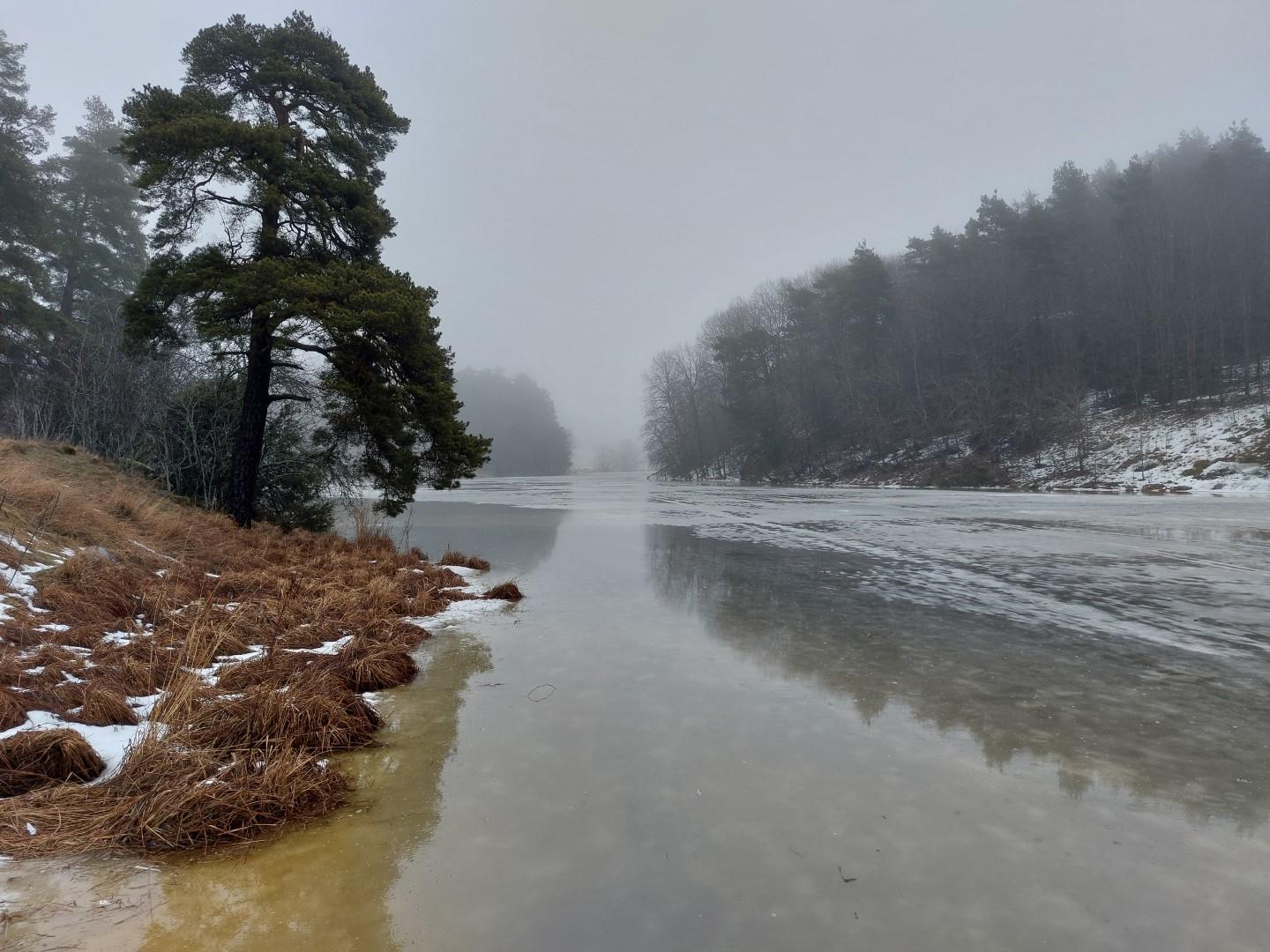 Näkymä Komoisten kummuilta Aurajokea ylöspäin. Tienoossa sumua, joessa jäätä osin veden alla. Kumpujen niemi vasemmalla, oikealla toisen rannan metsää. Kuvaajan katse itäkoilliseen.
