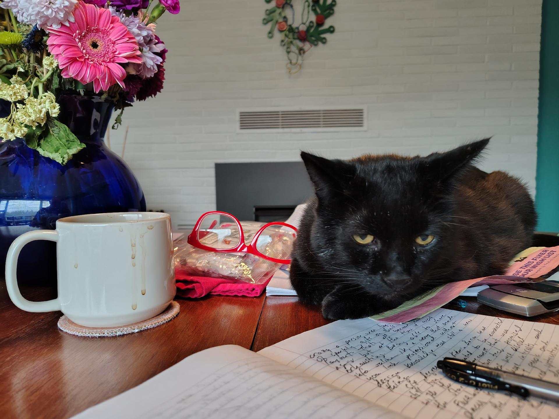 A black cat sitting on the dining room table inspecting my notebook
