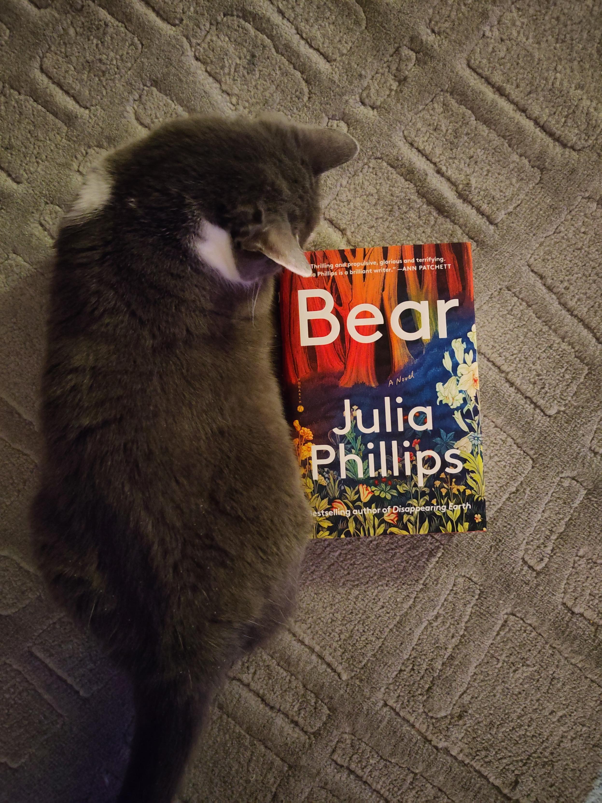 Harmaalla matolla köllöttää harmaa kissa, jonka vieressä on kirja-arvostelun kirja. Kirjan kannessa on värikäs, piirretty metsä, kukkia ja marjoja.