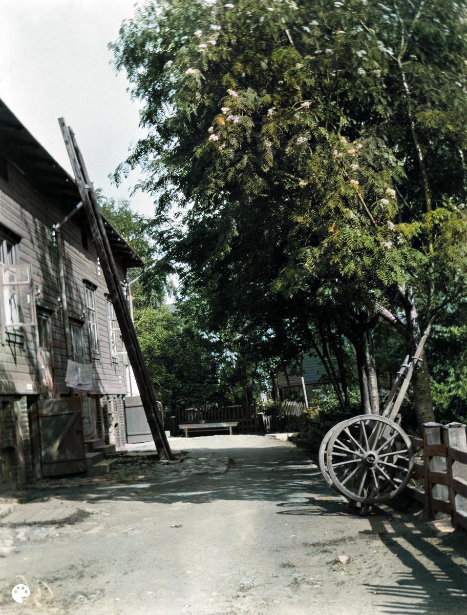 Ruoholahden villat,  pihakuva. (1919, Helsingin kaupunginmuseo)

Alkuperäisen valokuvan on ottanut Ivan Timiriasew. Tämä kuva on keinotekoisesti väritetty DeOldify-algoritmilla.