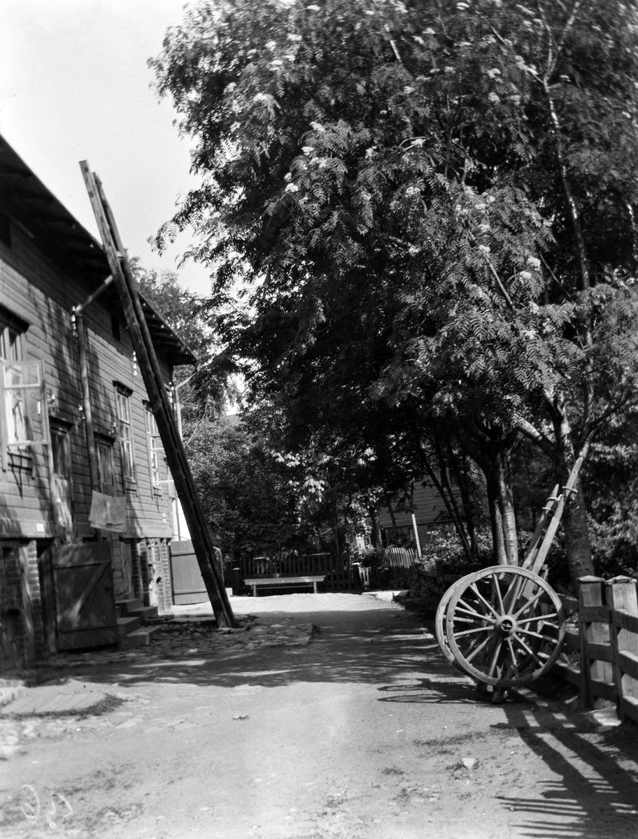 Ruoholahden villat,  pihakuva. (1919, Helsingin kaupunginmuseo)

Alkuperäinen mustavalkoinen valokuva, jonka on ottanut Ivan Timiriasew.