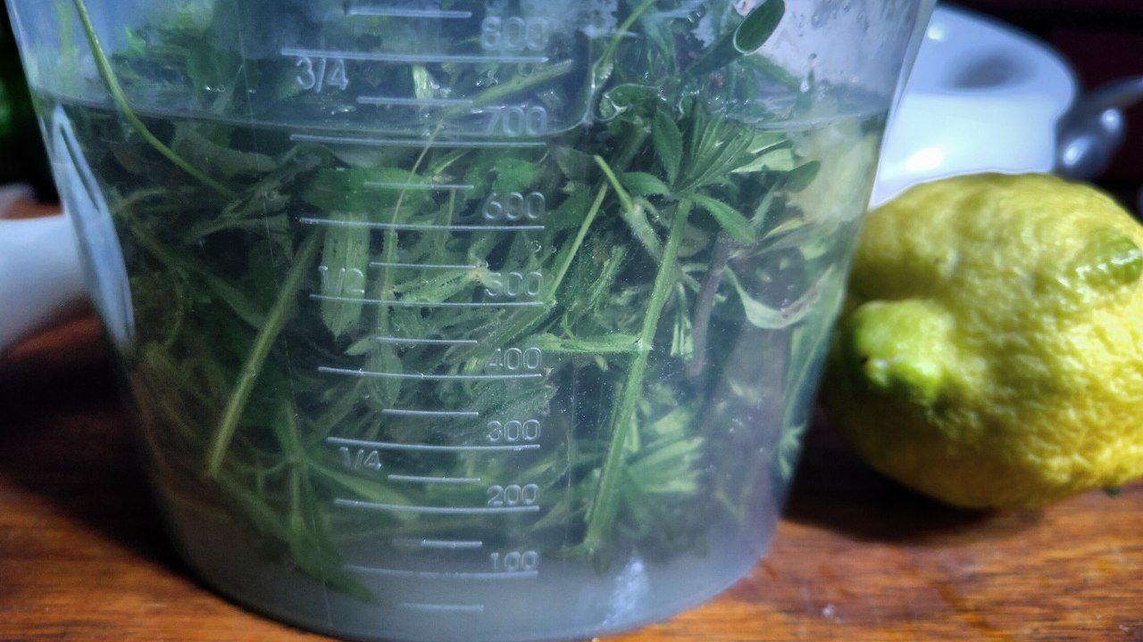 una gerra mesuradora amb herbes i aigua dins i una llimona al costat