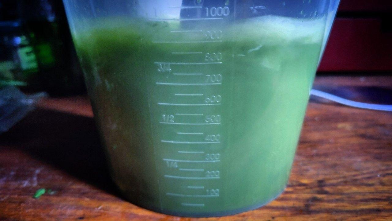 Una gerra mesuradora amb un batut d'herbes a dins