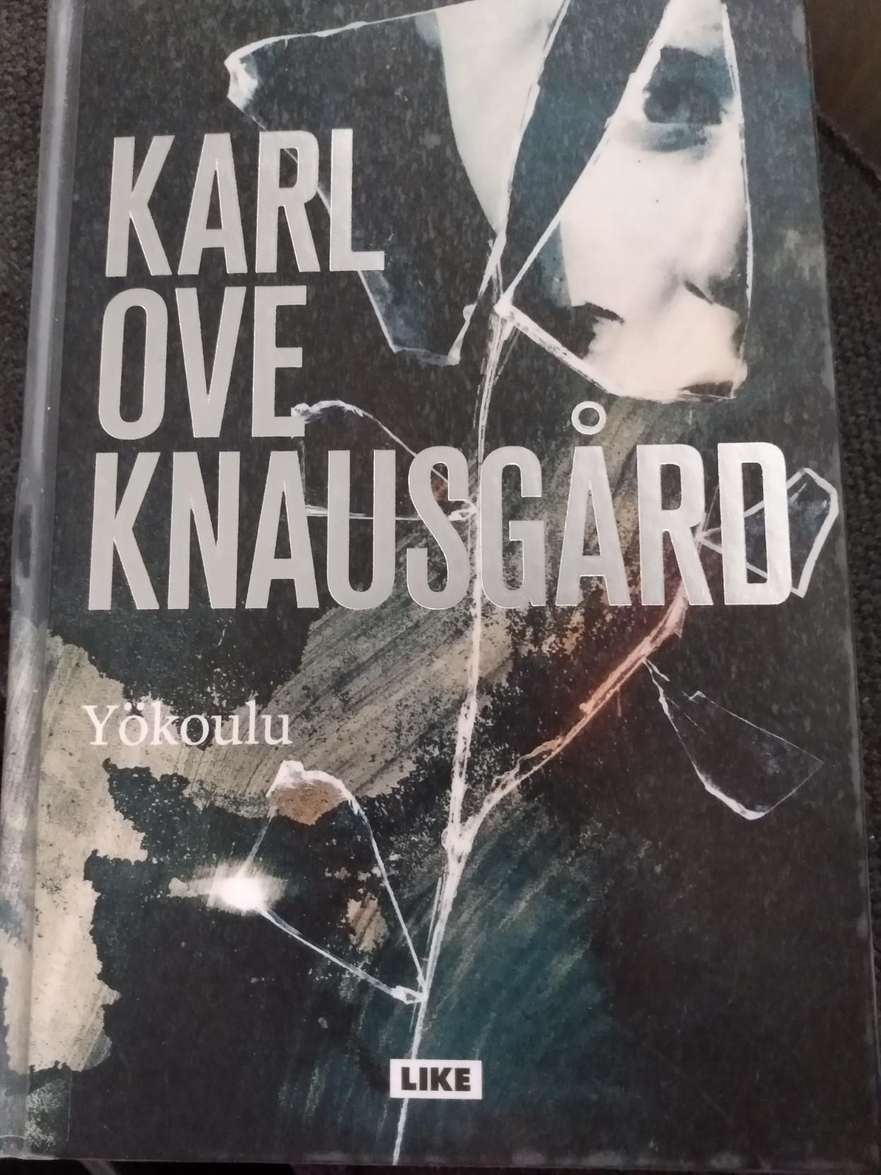 Kirjan kansi on tummasävyinen. Sen oikeassa yläkulmassa näkyy osa kalpeista ihmiskasvoista, jotka heijastuvat rikkinäisestä peilistä.