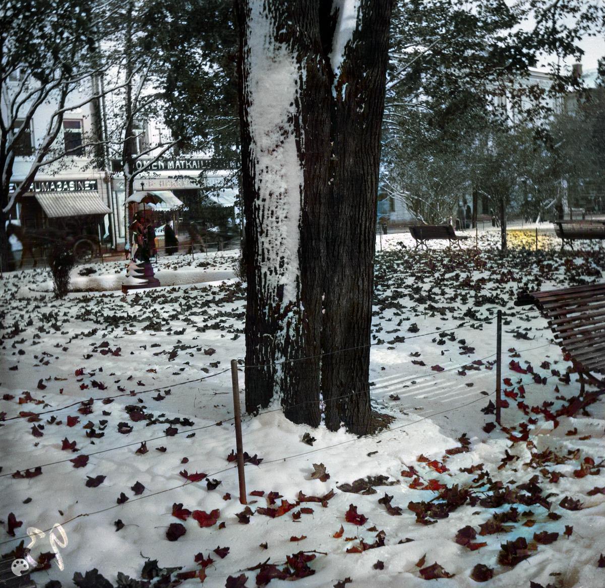 Takatalven kinoksia Kappeliesplanaadilla. (1915, Helsingin kaupunginmuseo)

Alkuperäisen valokuvan on ottanut Ivan Timiriasew. Tämä kuva on keinotekoisesti väritetty DeOldify-algoritmilla.