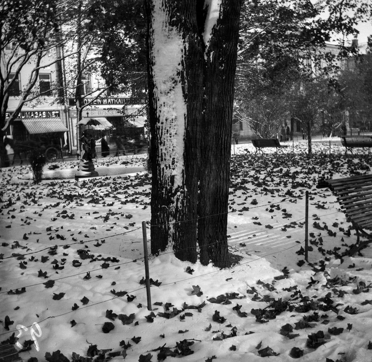 Takatalven kinoksia Kappeliesplanaadilla. (1915, Helsingin kaupunginmuseo)

Alkuperäinen mustavalkoinen valokuva, jonka on ottanut Ivan Timiriasew.