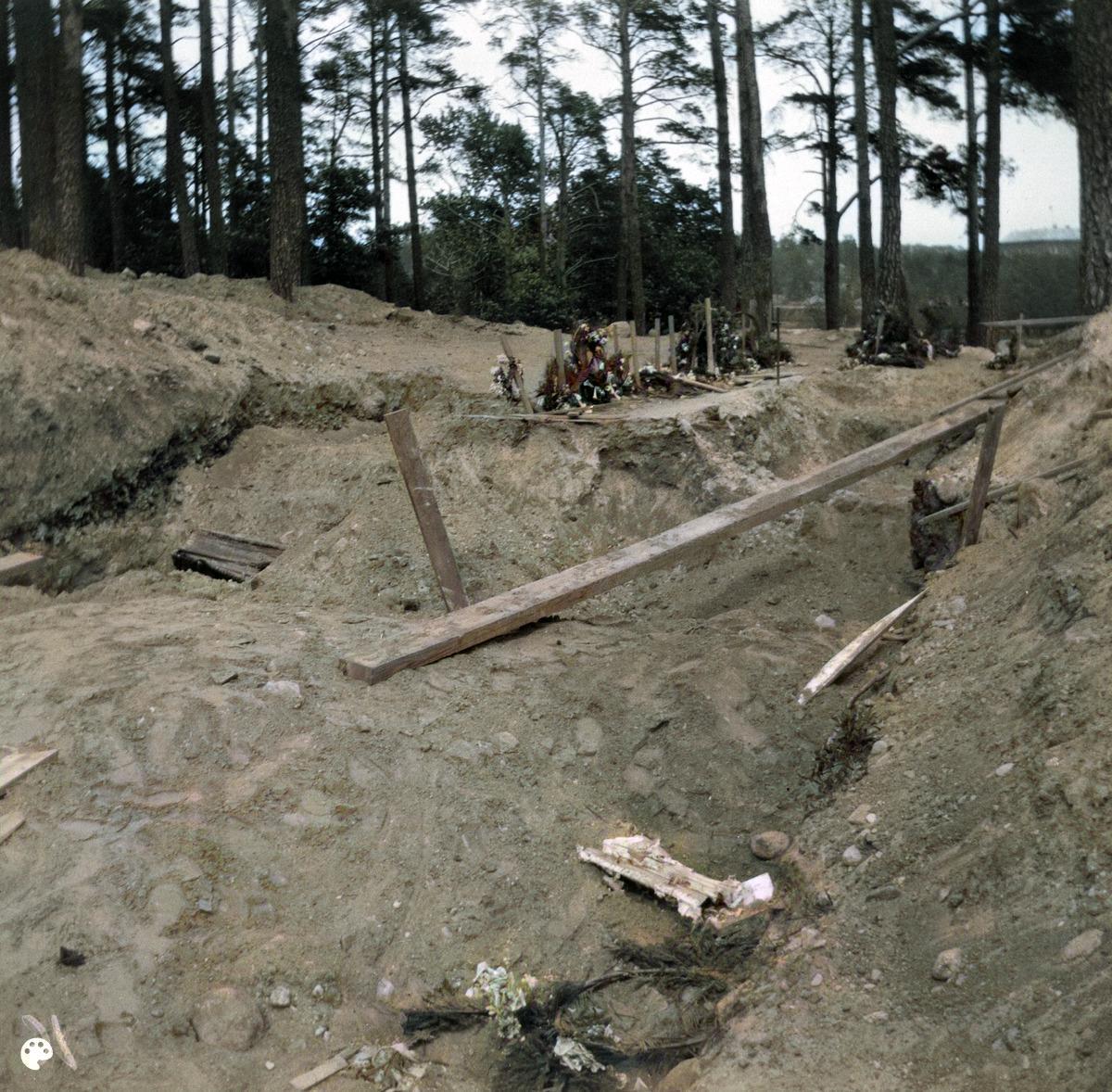 Helsingin valtaus 1918. (1918, Helsingin kaupunginmuseo)

Alkuperäisen valokuvan on ottanut Ivan Timiriasew. Tämä kuva on keinotekoisesti väritetty DeOldify-algoritmilla.