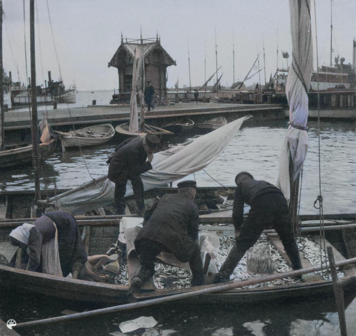 Kauppatori, kalastajia veneessään syys- eli silakkamarkkinoiden aikaan. (1912, Helsingin kaupunginmuseo)

Alkuperäisen valokuvan on ottanut Ivan Timiriasew. Tämä kuva on keinotekoisesti väritetty DeOldify-algoritmilla.