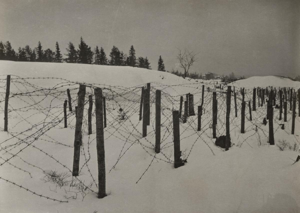 Venäläisten rakentama piikkilankavarustus Alppilan (ravintola Alphyddan)  takana ensimmäisen maailmansodan aikana 1914. (1914, Helsingin kaupunginmuseo)

Alkuperäinen mustavalkoinen valokuva, jonka on ottanut Ivan Timiriasew.