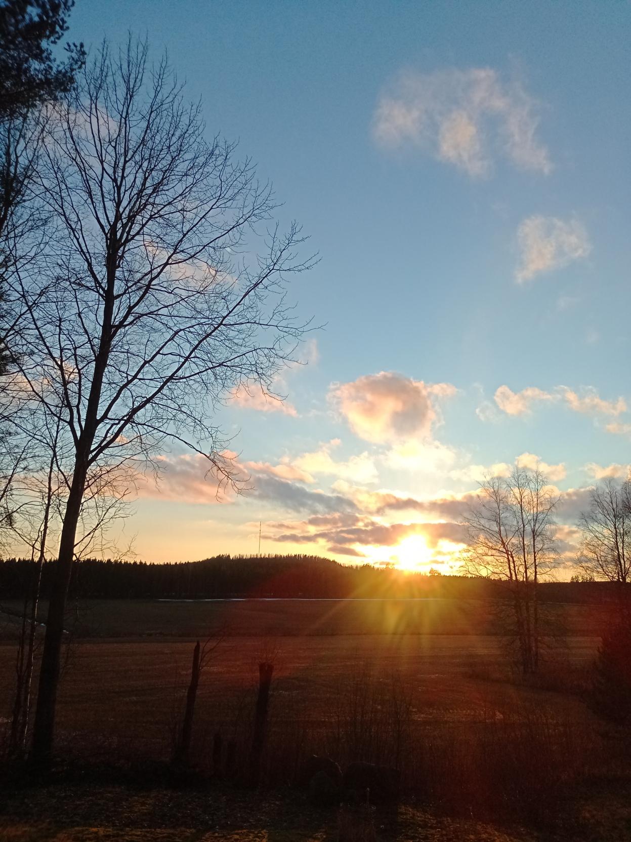 Aurinko laskee maaliskuisen peltomaiseman taakse värjäten lumettomat pellot punertavaksi. Taivaalla pilven hattaroita.