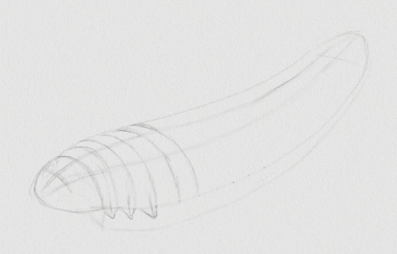 Kokonaisen loivalla mutkalla olevan tuhatjalkaisen luonnosteltua rautalankamallia vinosta kulmasta kuvattuna. Jaloille on varattu oma tilansa ja esim. otuksen vatsan keskiviiva näkyy keskellä ikään kuin läpi.