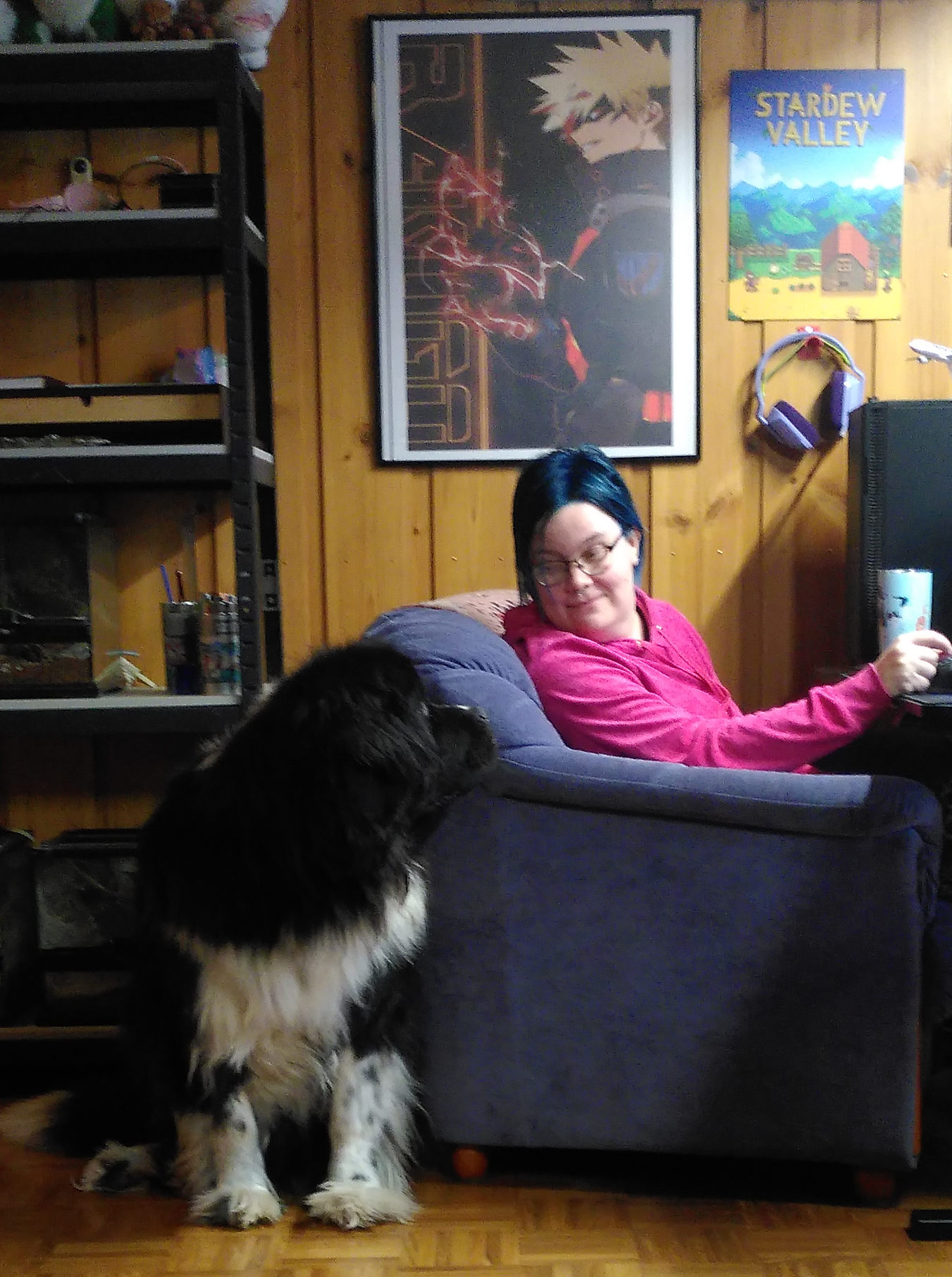 Newfoundland dog looking back to sitting bluehaired woman.