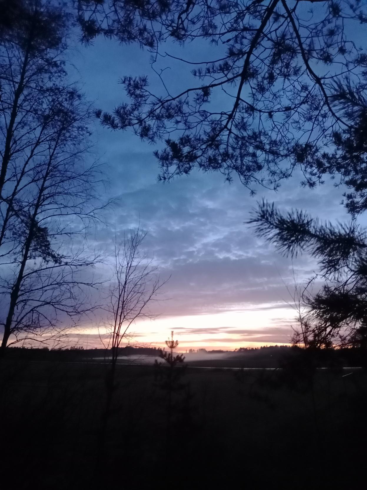 Auringonlaskun jälkeen maa ja kuvan reunoilla näkyvät puiden oksat ovat mustia. Kaukana näkyy vaaleaa sumua ja taivas on alhaalta kellertävä ja persikan värinen, seuraavaksi vaalea kaistale, jossa on vaaleita kellertävän harmaita pilviä. Seuraavaksi väri vaihtuu haalean violetin kautta hiukan vihertävän siniseen.