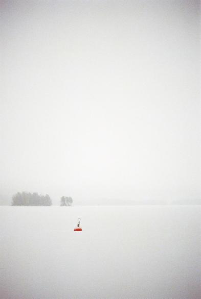Posted media
