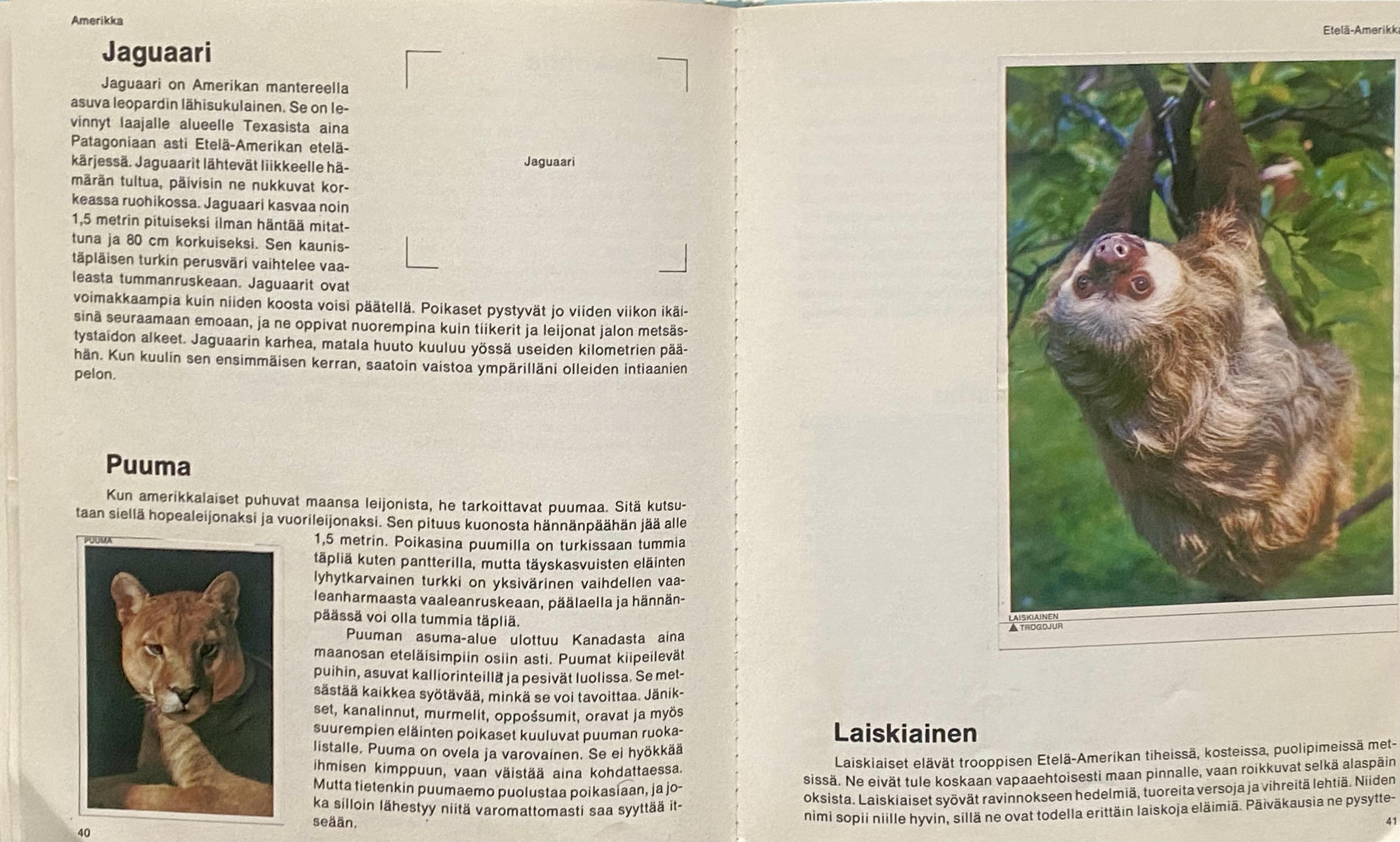 Eläinkirjan aukeama, jossa on kolme kappaletta ja otsikkoa: jaguaari, puuma ja laiskiainen. Puuman ja laiskiaisen kohdalla on kuvat, mutta jaguaarin kohdalla tyhjä paikka.