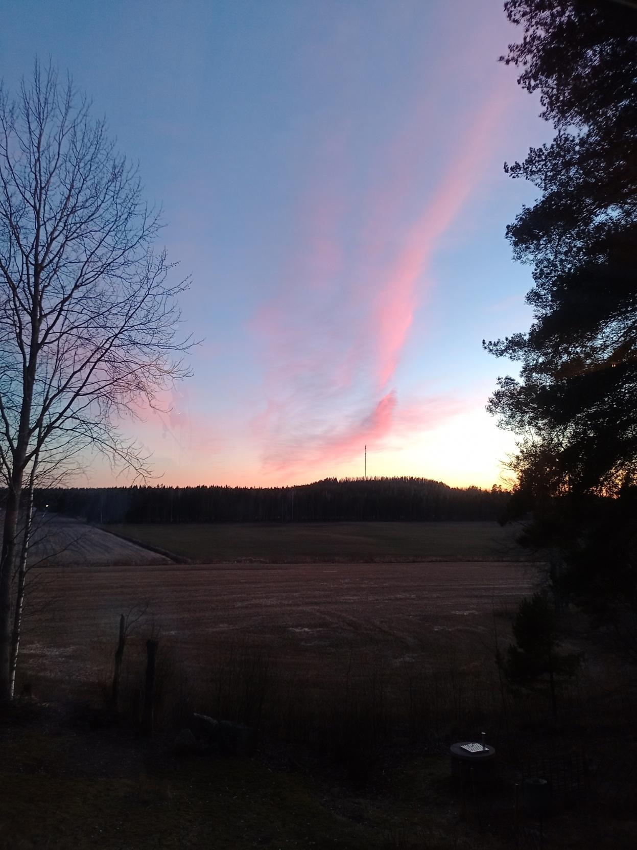 Keväinen peltomaisema auringonlaskun jälkeen.
Lehtipuut lehdettömiä ja sinisellä taivaalla vaaleanpunaisia pilviä.