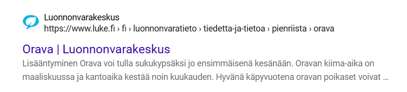 Kuvakaappaus hakukonetuloksesta: Luonnonvarakeskus: oravan lisääntyminen maaliskuussa ja kantoaika noin kuukauden.