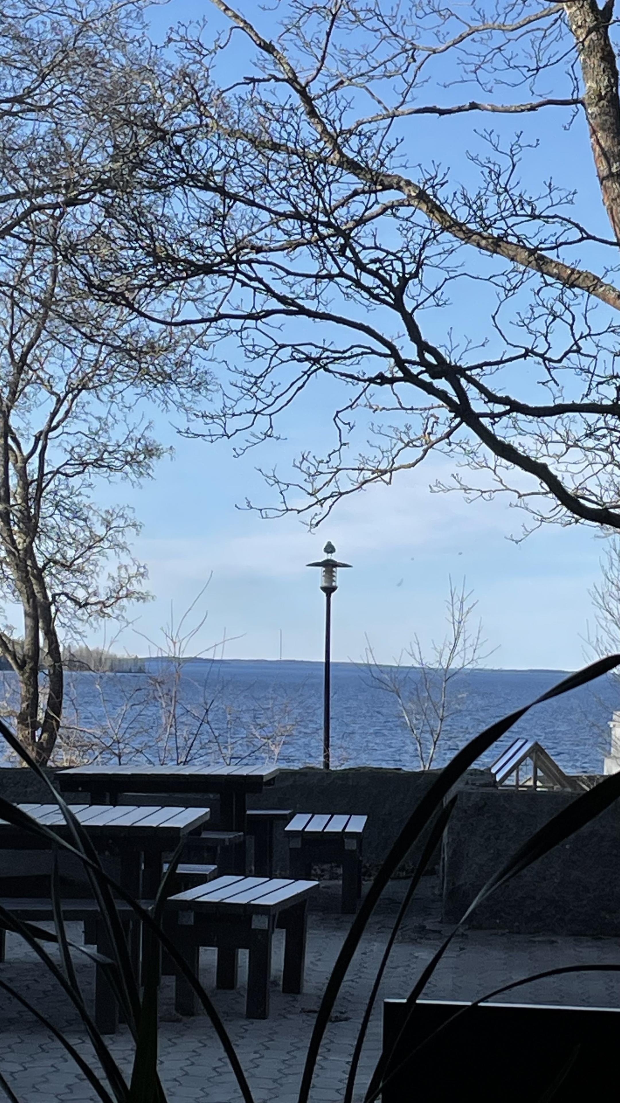 Järvi ja edustalla lehdettömiä puita ja penkit