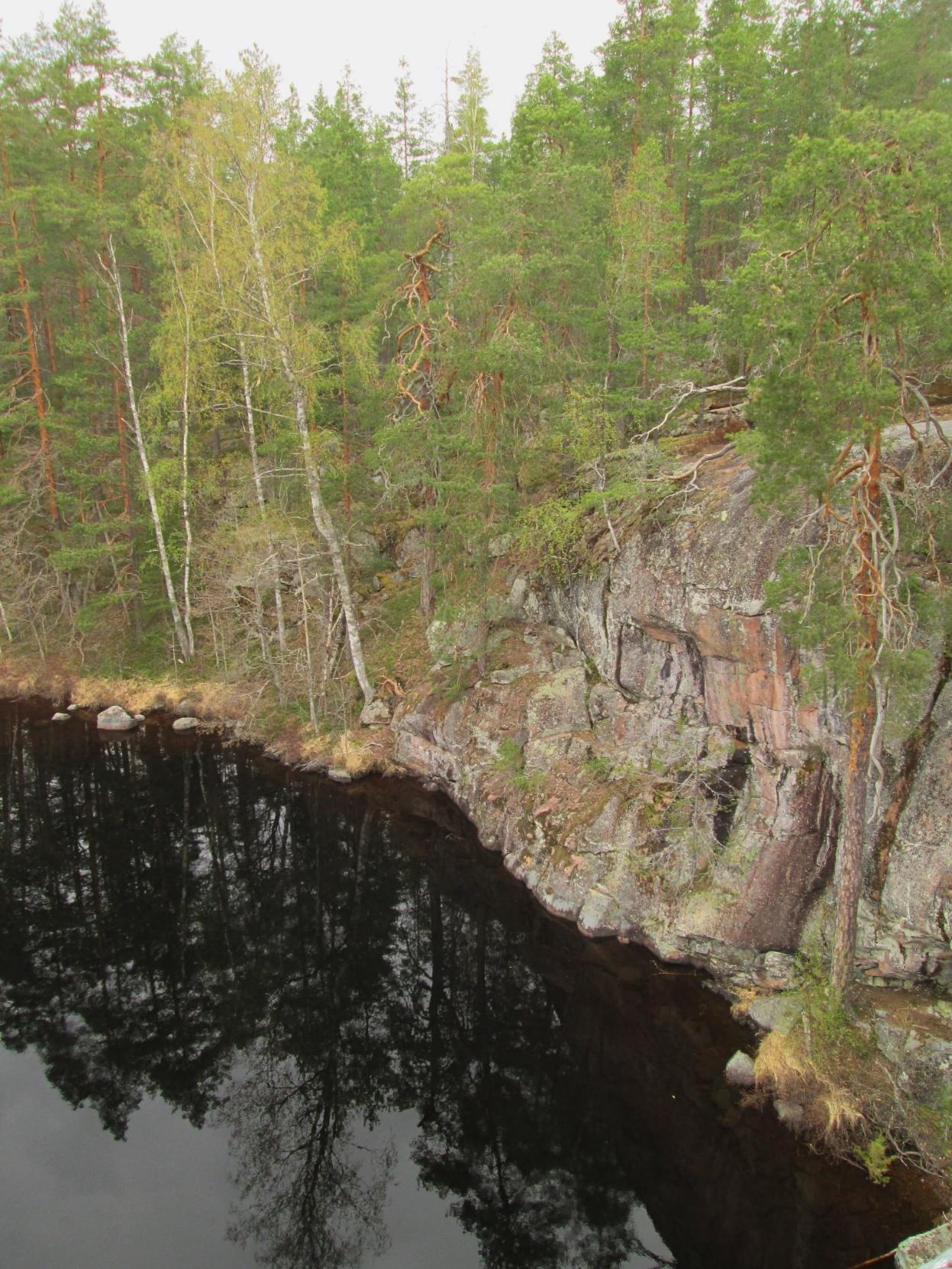 A view from the cliff, below dark water and behind water, spring-green forest, pines and birches. Reflections of the trees in the water. Repovesi National Park.