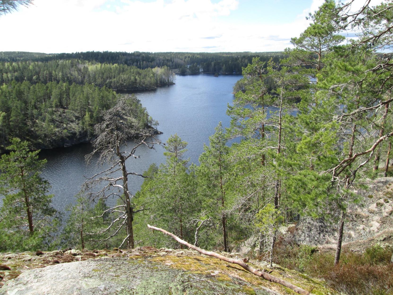 A view from the Katajavuori in the Repovesi National Park. In the forefront Katajavuori cliffs and some pines. Below a lake and far behind the lake spruce forest.