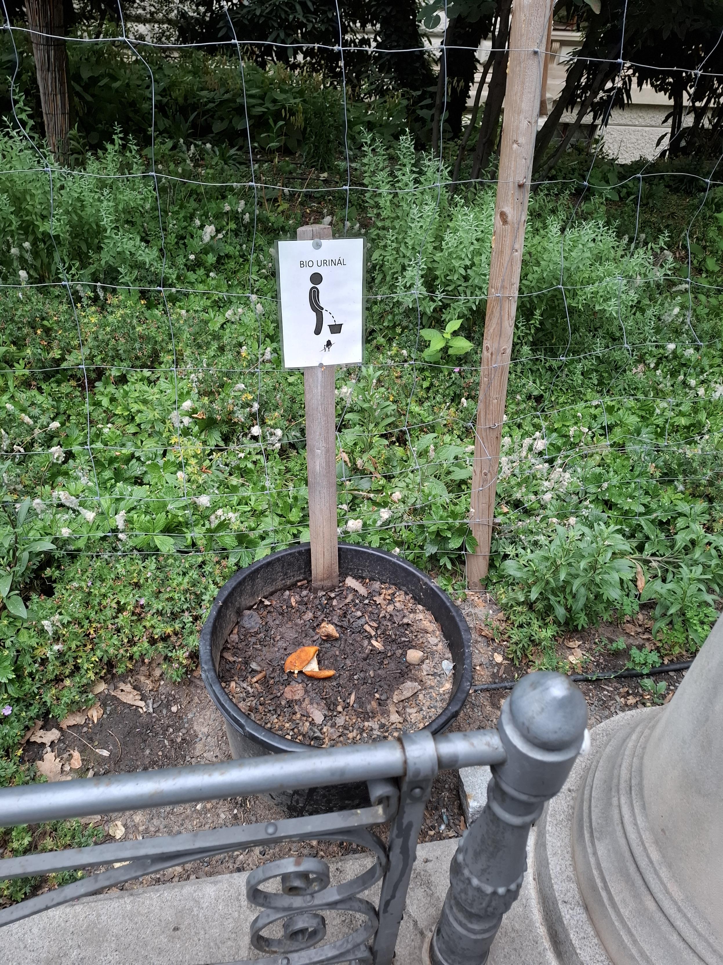 Puistokävelytien aidan takana oleva iso kasviruukku, jossa on kyltti "bio urinal" ja clipart-tyyppinen tikku-ukko seisoen virtsaamassa.