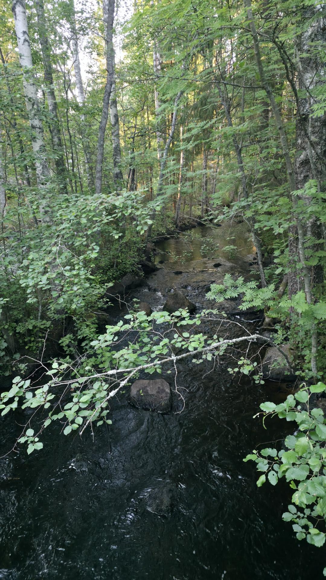 Riuttakoski