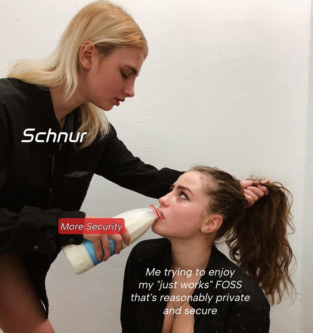 Girl forced by another girl to drink milk, the text written next to the girl being forced says: "me trying to enjoy my FOSS that just works, that's reasonably private and secure".

the other girl has the text: Schnur written next to her, and the text next to the bottle of milk she's holding says: More security.