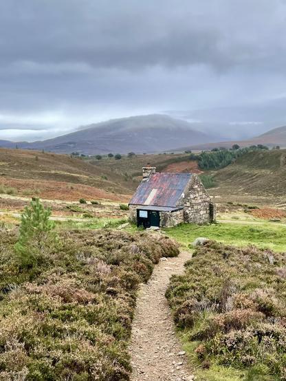 Posted media