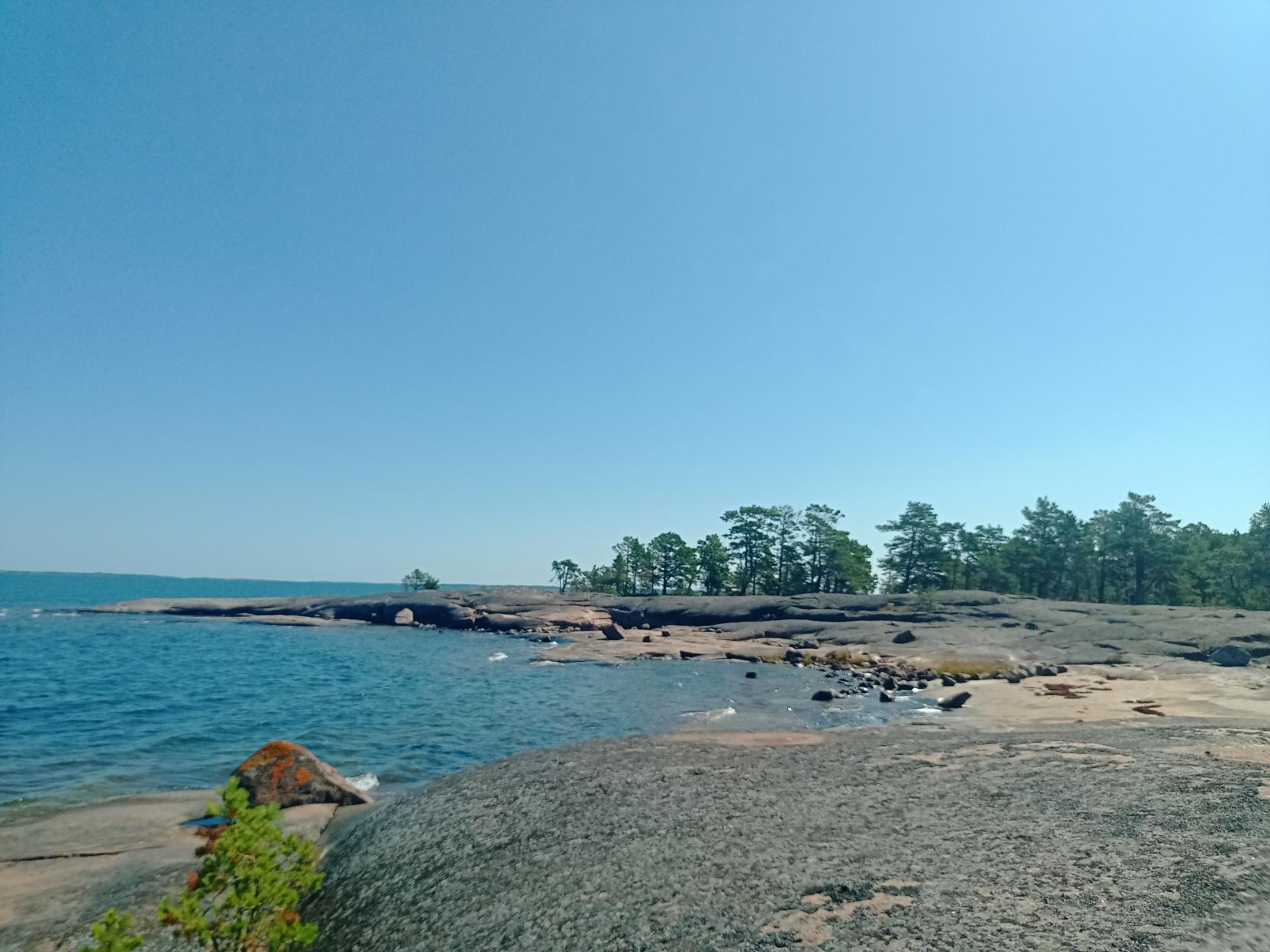 Aurinkoiset rantakalliot ja saaristomäntyjä Ahvenanmaan pohjoispuolen saaressa.