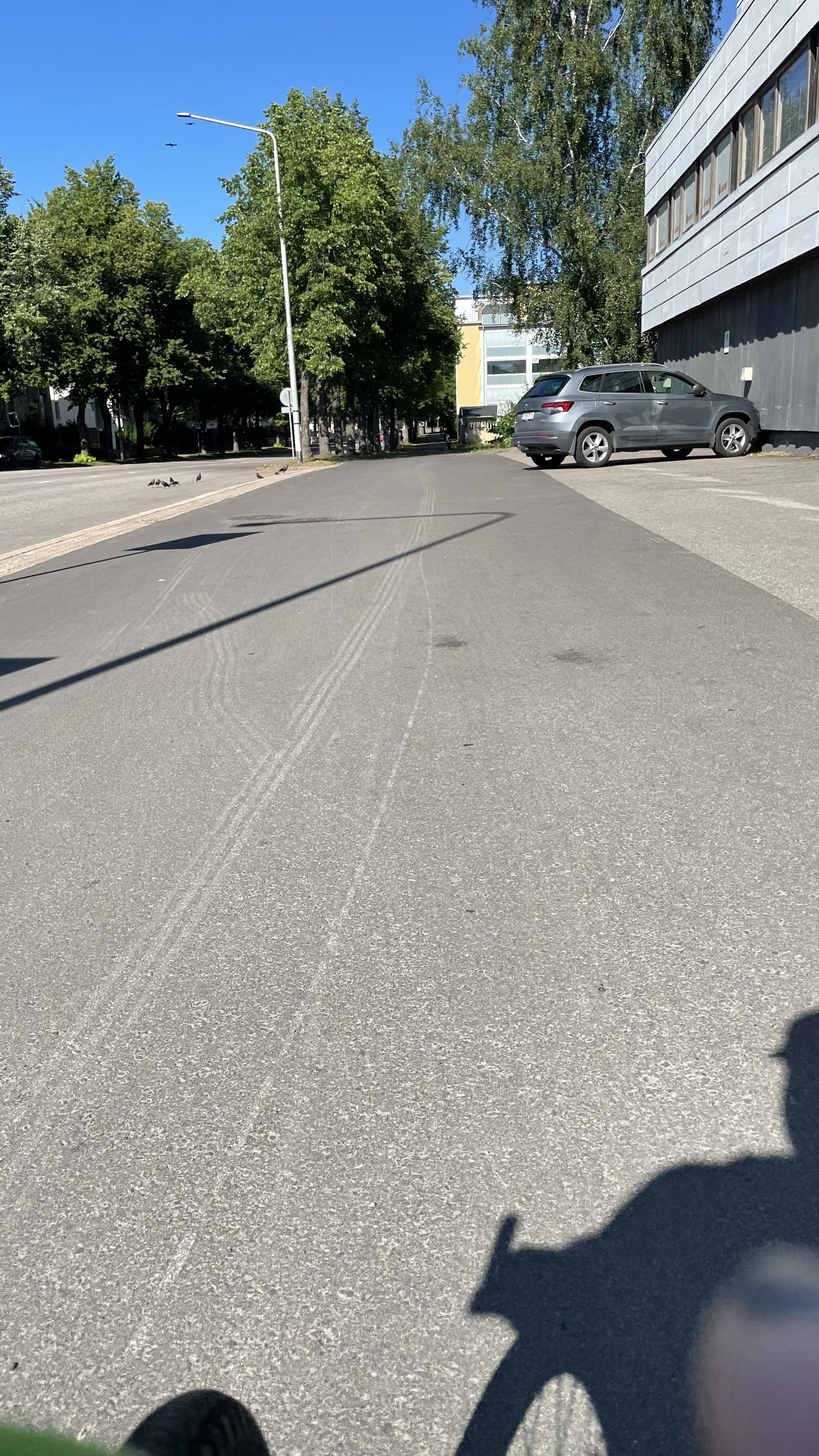 I am leaving the city center, passing a business building on the right. A car is parked in front of it. If you zoom the photo, on the left side of the cyclist and pedestrian road a flock of jackdaws are looking for food.