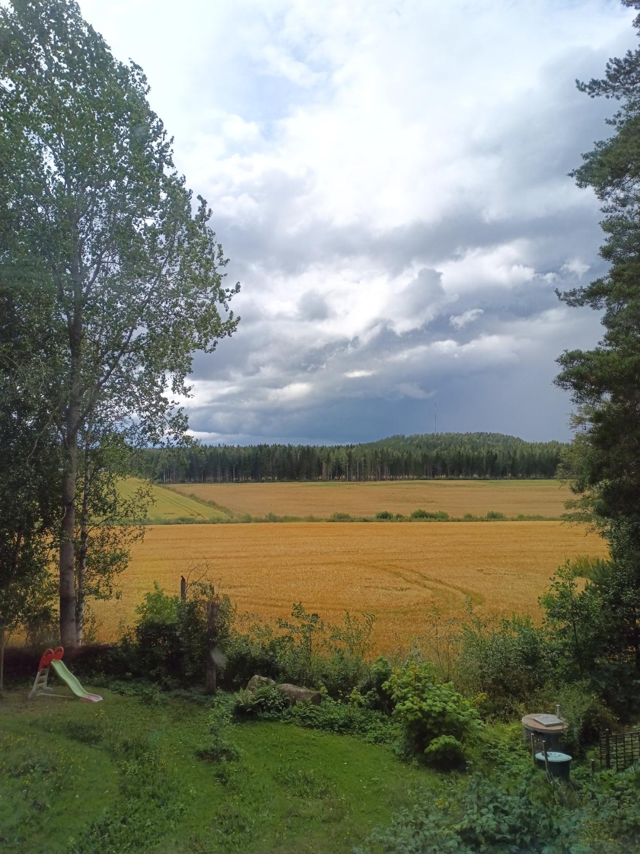 Tummat pilvet kerääntyvät elokuun keltaisten peltojen yllä.