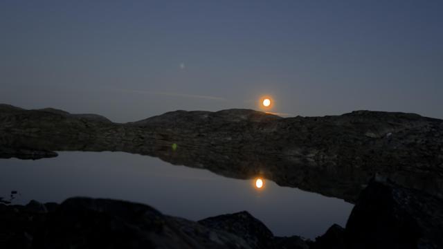 Posted media